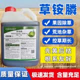 大丰收丰创惠选草铵膦除草剂农药灭生性牛筋草草胺磷果园除杂草5kg