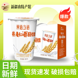天润新疆天润燕麦仁嚼酸牛奶180g*12杯整箱装风味发酵乳酸奶