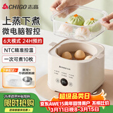志高（CHIGO）煮蛋器 蒸蛋器 温泉蛋机 智能定时自动断电 煮鸡蛋神器溏心蛋茶叶蛋 小型蒸锅早餐一体机NE-250A