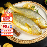 三都港速冻黄花鱼宁德特产大黄鱼新鲜海鲜冷冻水产年货食材生鲜鱼类海鱼 三去黄花鱼1.2kg礼袋装(内含3条)