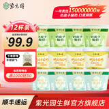 紫光园奶皮子酸奶酪老北京特产低温酸奶鲜奶发酵北京老字号【顺丰发货】 【12杯爆款组合】原味120g+茉莉120g+抹茶100g