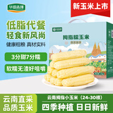 华田禾邦【26年头茬】云南拇指玉米3斤(24-33根) 礼盒 儿童甜糯小拇指玉米