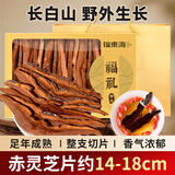 福东海 灵芝片250g礼盒（整朵切片）深山赤灵芝茶泡酒料煮汤送长辈爸妈