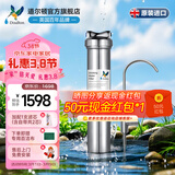 道尔顿（Doulton）净水器家用直饮DIS厨下式净水器 英国原装进口道尔顿明星款DIS矿物质净水机0废水不用电过滤自来水 DIS套机(自带/加配各1支共2芯)