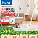 海尔（Haier）无线手持吸尘器家用除灰尘车载轻量宠物吸毛便携式随手吸除尘大功率大吸力年度新品SQ2DW实用体面