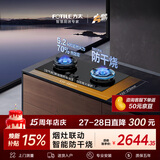方太【推荐选购TF27新品灶】燃气灶天然气 家用嵌入式5.2kW*猛火双灶 防干烧可联动 02-TEK21