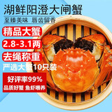 【活蟹】湖鲜阳澄大闸蟹全母2.8-3.1两10只去绳足重过年年货节鲜活螃蟹海鲜送礼礼盒装