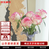 京东鲜花【艾莎】玫瑰花10枝如意基地鲜切花水养插花生活花束送礼源头直发