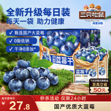 三只松鼠每日蓝莓干256g/16包 无添加水果干果脯小包装儿童老人办公室零食