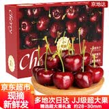 京地达山东美早大樱桃JJ级超大果净重4.8斤 单果28-30mm 水果源头直发