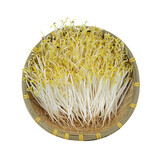 绿豆芽300g