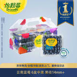 怡颗莓Driscoll's 云南蓝莓14mm+ 6盒装 约125g/盒 新鲜水果礼盒