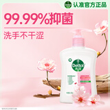 滴露（Dettol）洗手液滋润250g 儿童洗手液抑菌消毒宝宝 水润补充装尝鲜