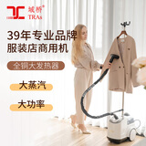 域桥 挂烫机家用服装店商用大蒸汽大功率熨烫机全铜芯手持烫衣服烫衣机立式2000W 白色2000瓦