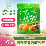 溜溜梅  五味青梅超值装300g 独立小包装话梅干休闲解馋零食大礼包