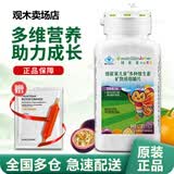 安利（Amway）纽崔莱儿童补钙镁片营养多种矿物质维生素多宝维片VC草莓蛋白质粉 纽崔莱儿童多种维生素矿物质咀嚼片 90片*1瓶