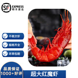 沢素湾 深海红魔虾 刺身级红魔虾绯红虾胭脂虾红虾中秋节送礼盒 1盒 300克(净重)  （尝鲜） 中号14-19只/斤