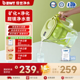 倍世（BWT） 德国甜镁净水壶过滤水净水器家用 欧洲进口滤芯去水垢增强55% 益家系列大容量过滤器 礼品送礼 【去水垢滤芯】1壶6芯绿色