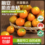 广西融安金桔当季新鲜水果柑橘脆蜜滑皮金柑年货送礼物产地直发 【4号果】净重3斤（独立包装）