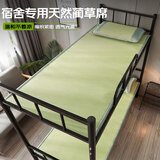 艾薇 天然蔺草凉席草席 宿舍凉席单人 单席 蔺草 0.9米【可折叠】