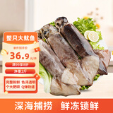 美加佳冷冻整只大鱿鱼净重2斤（2-3条）烧烤食材 铁板鱿鱼聚餐