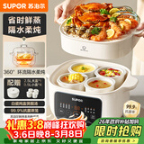 苏泊尔（SUPOR）电炖锅 电炖盅 隔水炖家用多功能煲汤炖汤盅陶瓷燕窝炖盅一盅五胆蒸炖一体多用途锅 DZ25YC886