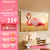 美硕（MEISHUO）投影幕家用办公120英寸16:9壁挂光子幕屏高清家庭办公影院适配极米坚果小米小明当贝爱普生
