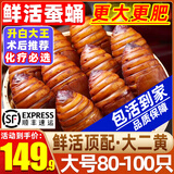 辽梦【销量20万+只】蚕蛹鲜活发货东北特产 新鲜茧蛹特级大黄蚕蛹蝉蛹 大号二黄丨净重1000g（80-100）只