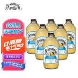 宾得宝（Bundaberg）含气菠萝椰子味饮料375ml*6瓶装 澳州网红春日出游果汁气泡水