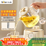 小熊（Bear）全玻璃养生壶 纯玻璃多功能恒温烧水壶 办公室轻音炖煮茶壶 1L YSH-J10D1带滤网