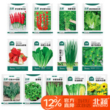 北蔬菜种子大全黄瓜西红柿草莓生菜辣椒种籽 [家庭种]13种蔬菜种子