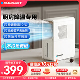 蓝宝（BLAUPUNKT）【厨房降温】冰雾扇电风扇家用空调扇加湿水冷风扇冷风机制冷小空调扇无需冰晶 节能低噪可拆洗 X5