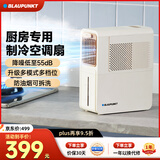 蓝宝（BLAUPUNKT）厨房冰雾扇冷风空调扇制冷小型壁挂电风扇加湿水冷风扇冷风机防油烟节能低噪加湿器X6 【经典款X5】 速降10℃