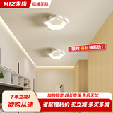 米族阳台走廊过道灯2026新款玄关入户门厅灯简约现代衣帽间护眼吸顶灯 F款 白色【20CM】三色
