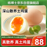 杨博士皖南散养土鸡蛋50枚净重4.5斤 新鲜溏心蛋整箱源头直发