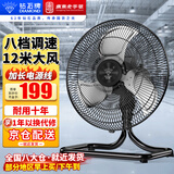 钻石牌（DIAMOND）台式趴地扇工业风扇强力趴地风扇大功率落地扇商用台地扇工厂电风扇 TF1801摇头趴地扇（18寸）