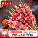 锡林之星内蒙古锡盟本地小羔羊肉串五花60串 新鲜半成品烤肉烧烤野营团建 五花羊肉串60串   带秘制烧烤料