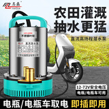 名磊 充电水泵潜水泵便捷式高扬程水泵大流量直流潜水泵电车抽水机 2寸48-60V500W10米线