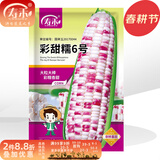 寿禾 超甜水果玉米种子大全紫糯黑甜糯可生食粘甜种孑冬春季寿光蔬菜 彩甜糯6号玉米种子200g