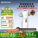 滨特尔（pentair）前置过滤器大通量家用全屋自来水管道过滤器大流量水驱涡轮+反冲洗刮洗净水器 【上门安装】S260全自动11T/H