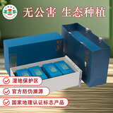 日照绿茶2025新茶生态绿茶碧螺山清香型豌豆鲜茶叶礼盒250g山东特产礼品