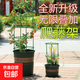 植物支撑杆爬藤架工具植物支架通用型花架拼接园艺兰花阳台花架子 自由组装（可拼10层）60根 材料厚实  经久耐用