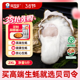 贝司令鲜活乳山生态生蚝2XL 净重9斤 32-38只 生鲜源头直发露营聚会