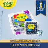 怡颗莓Driscoll's 云南蓝莓14mm+ 2盒装 约125g/盒 新鲜水果