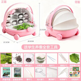 沃绣 蚕宝宝当天发货 活蚕宝宝蚕卵小蚕彩色蚕新鲜桑叶学生养蚕套装 粉色太空舱1龄蚕30条套装