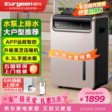 欧井（Eurgeen）除湿机/抽湿机 除湿量50升/天 泵压排水 回南天家用地下室别墅商用工业净化净味吸湿器 OJ-550EP