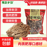 豫农乡珍茶树菇干货甄选不开伞新货菌菇农家自产福建古田特产菌菇 500g茶树菇（开伞）