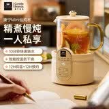WORLD KITCHEN美国康宁养生壶多功能家用小型办公室全自动全玻璃恒温壶0.5L迷你养生杯煮茶器煮茶壶（标准款）