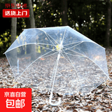 透明雨伞韩版雨伞ins雨伞长柄雨伞网红加厚学生女小清新高级雨伞 透明雨伞【1把】