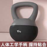 艾美仕（AiMeiShi）PVC软体壶铃 男女士家用健身器材提壶哑铃练手臂深蹲提臀 12KG